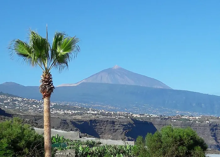 Casa Amadeus Lejlighed